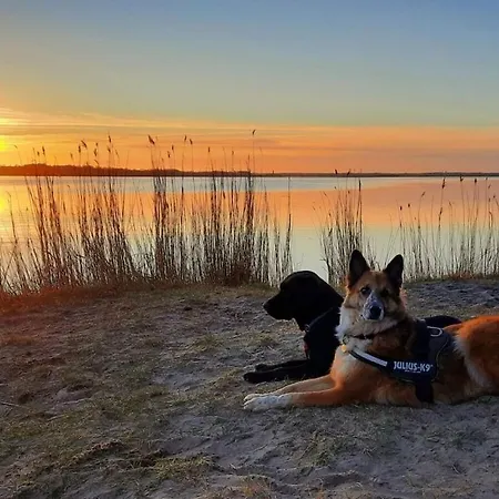 Mooi Uitzicht In Het 