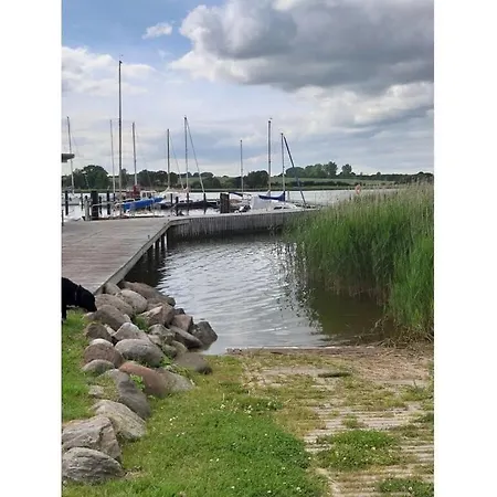 Mooi Uitzicht In Het 